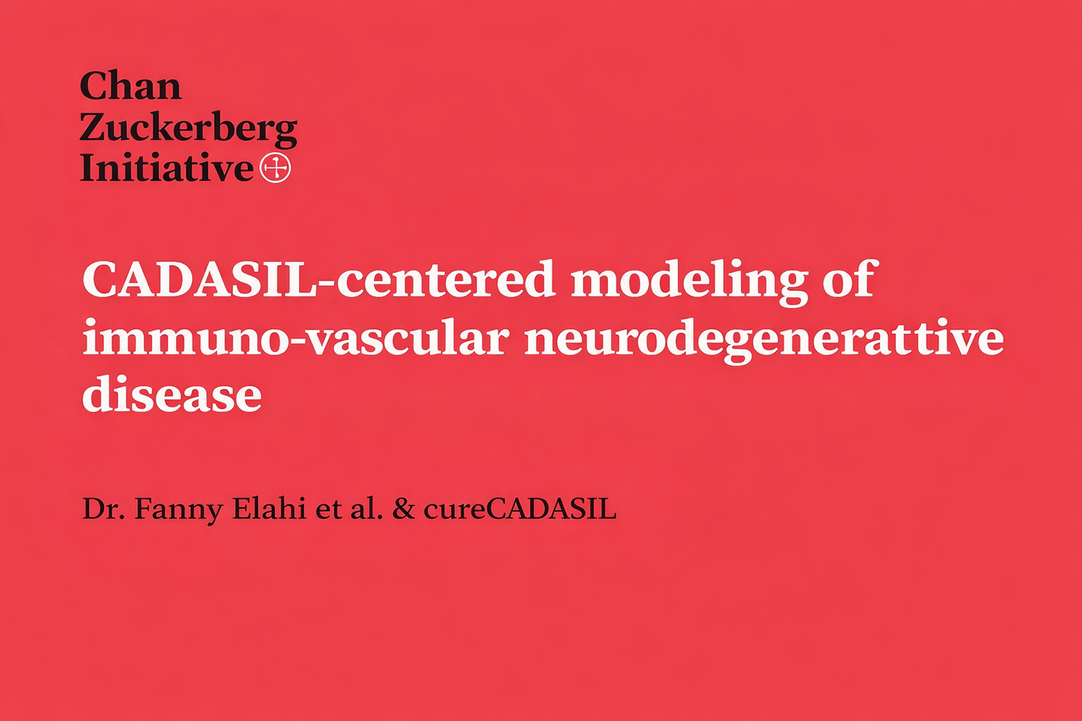 CZI CADASIL-centered modeling