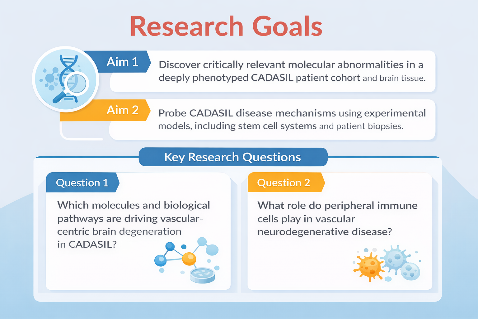 Research Goals