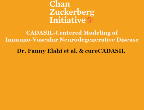 CZI Patient-Partnered Collaboration StudyLead Investigator: Dr. Fanny Elahi, MD, PhD, Icahn School of Medicine at Mount Sinai Research Contact: Ruth Axton, ruth.axton@mssm.edu