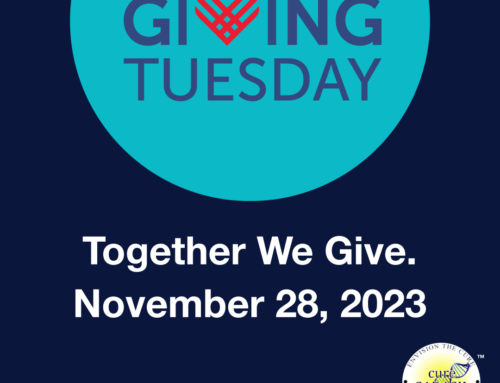 Giving Tuesday, November 28