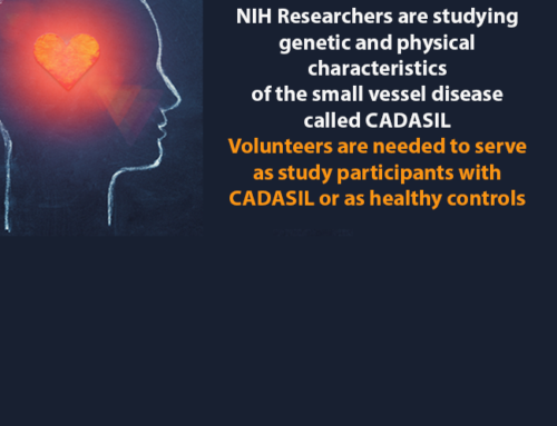 NIH/NHLBI CADASIL Natural History StudyLead Investigator: Elisa Ferrante, PhD Research Contact: Jayson Grey, MSN, RN, 301.318.0338, jayson.grey@nih.gov