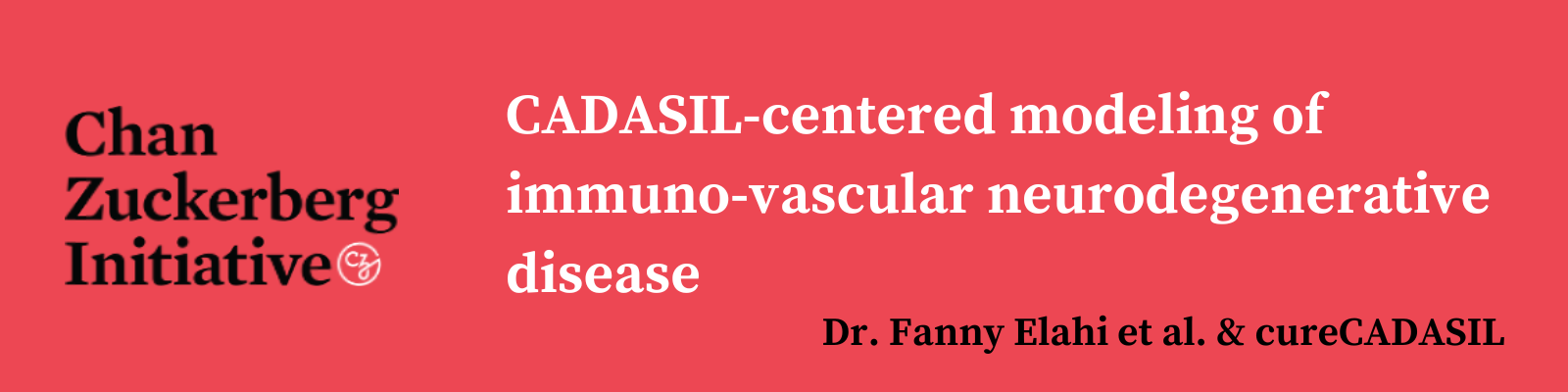 cureCADASIL – ULF Website banner image (1600 × 400 px)